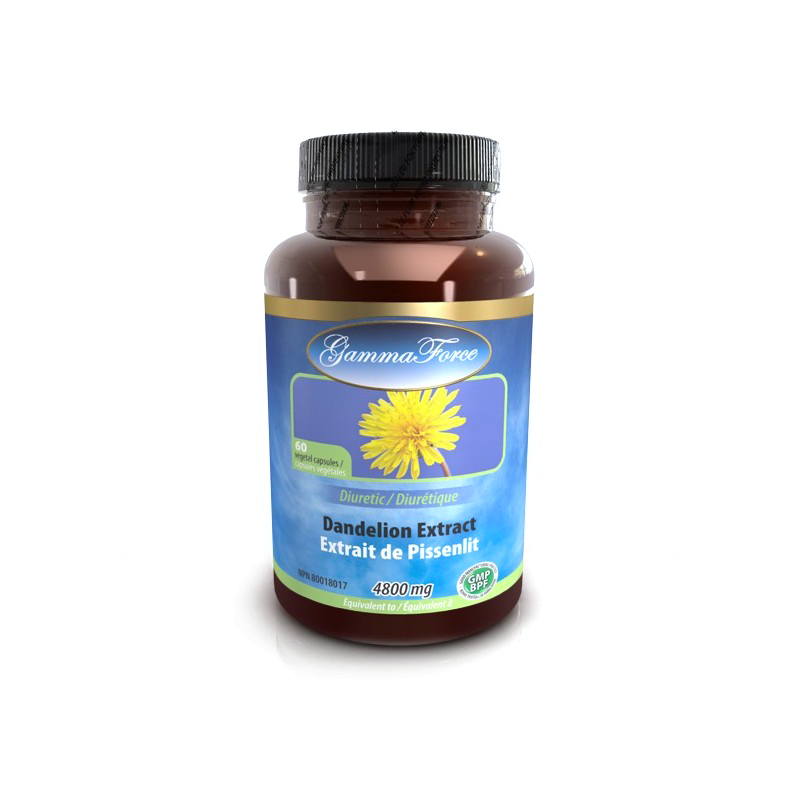 Pissenlit Extrait Racine 480 MG