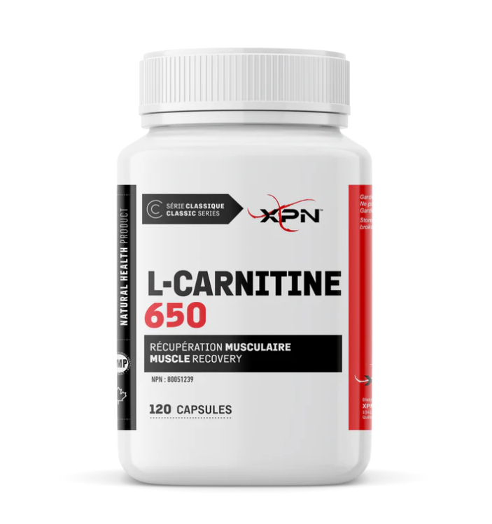 L-Carnitine 650